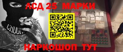 кокс Можга