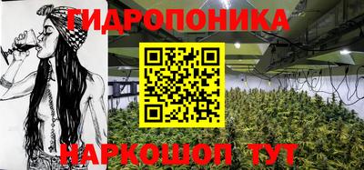 кокс Можга