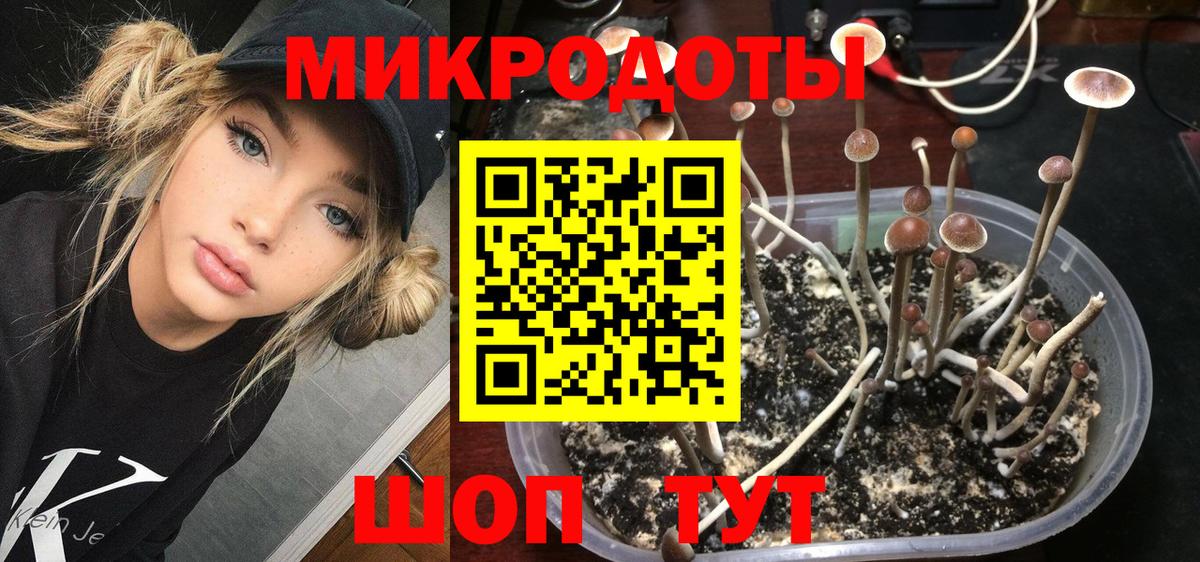 Улан-Удэ  Псилоцибиновые грибы мухоморы  как найти закладки  Вход с VPN 